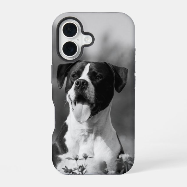 Coque iPhone 16 Photo de chien noir et blanc Personnalisable (Verso)