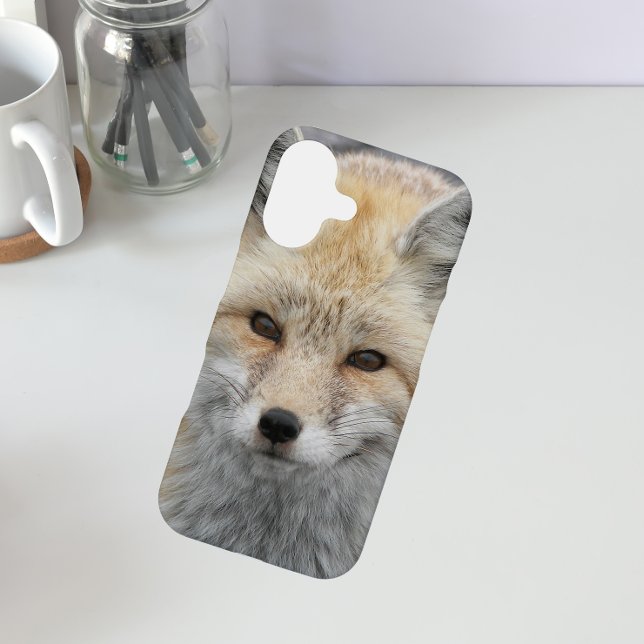 Coque iPhone 16 Photo de la faune de Red Fox (In Situ)