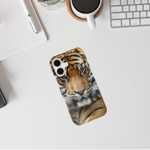 Coque iPhone 16 Photo de la faune du tigre de Sumatran