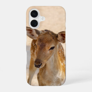 Coque iPhone 16 Photographie de cerfs fantaisistes de la forêt