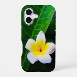 Coque iPhone 16 Photographie de fleurs de plumeria