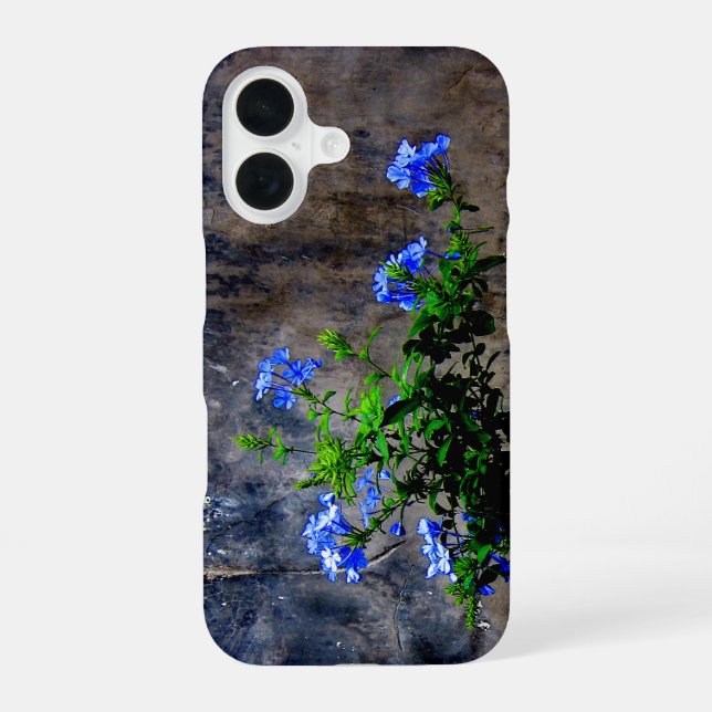 Coque iPhone 16 Plumbago bleu (Verso)