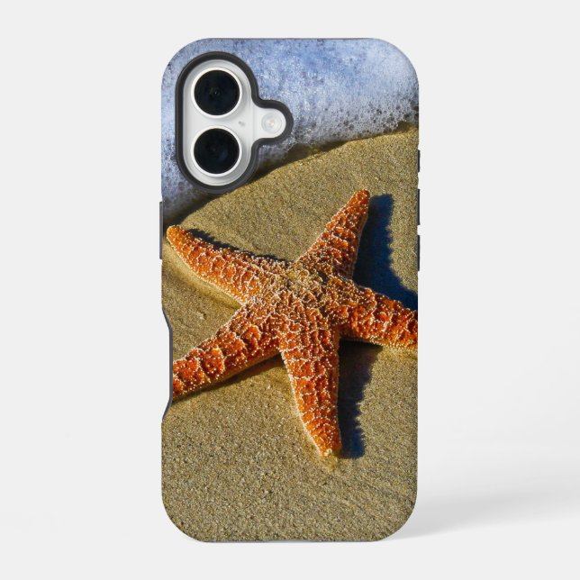 Coque iPhone 16 Poisson unique sur la plage (Verso)