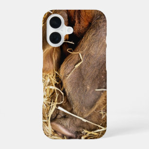 COQUE iPhone 16 PORCS