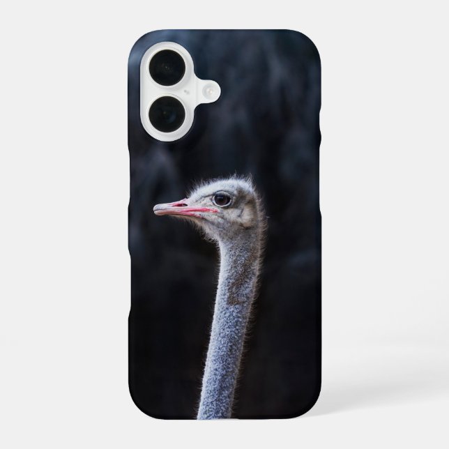 Coque iPhone 16 portrait d'autruche     (Verso)