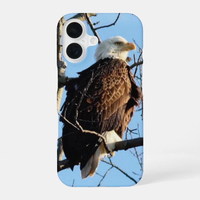 Coque iPhone 16 Pose d'aigle à tête blanche (Verso)