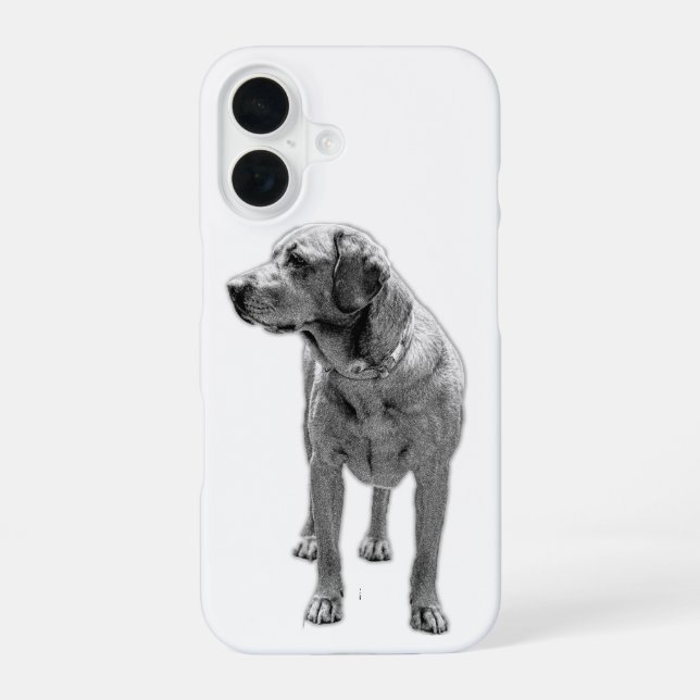 Coque iPhone 16 Présence solide, armure quotidienne (Verso)