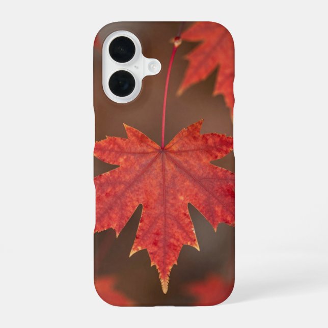 Coque iPhone 16 Red Maple Leaves Fall Phone Case (Verso)