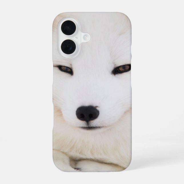 Coque iPhone 16 Renard arctique blanc (Verso)