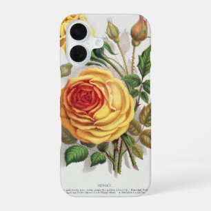 Coque iPhone 16 Rose jaune et orange de coucher de soleil vintage,
