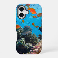 Scène sous-marine Poissons tropicaux et corail
