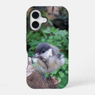 Coque iPhone 16 Tidi mon oiseau le Parus Major