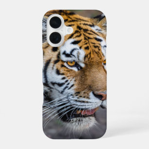 Coque iPhone 16 Tigre de l'Amour