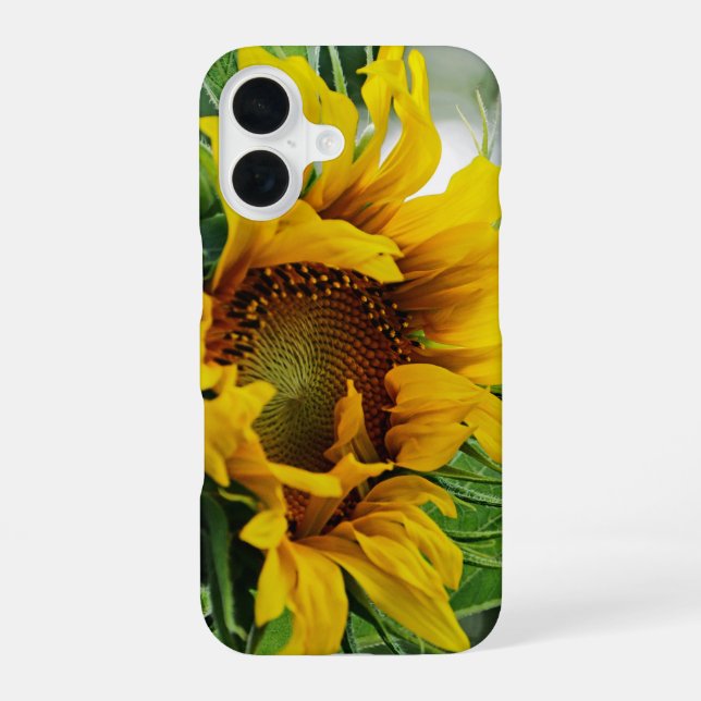 Coque iPhone 16 Tournesol (Verso)