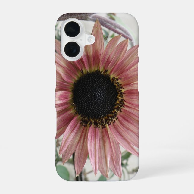 Coque iPhone 16 Tournesol rose pâle (Verso)