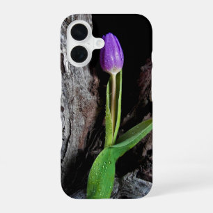 Coque iPhone 16 tulipe violet foncé sur du bois flotté