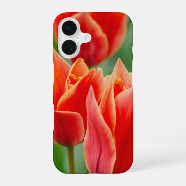 Coque iPhone 16 Tulipes Orange Rouge (Verso)