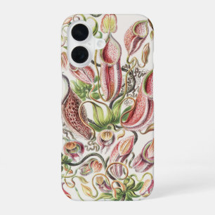 Coque iPhone 16 Vintage Ernst Haeckel Plante carnivore Nepenthes