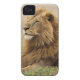 Coque iPhone 4 Case-Mate Le Kenya, masai Mara. Lion de mâle adulte sur le (Dos)