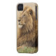 Coque iPhone 4 Case-Mate Le Kenya, masai Mara. Lion de mâle adulte sur le (Dos gauche)