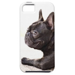coque iphone 5 bouledogue francais coque iphone 5 bouledogue francais