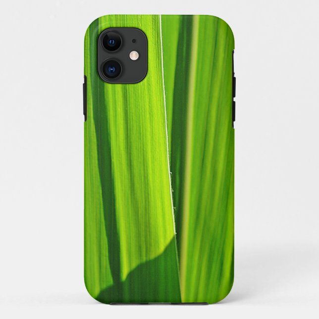 Coque iPhone 5 feuilles de maïs vertes (Dos)