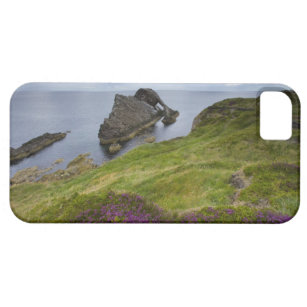 coque iphone 5 violon coque iphone 5 violon