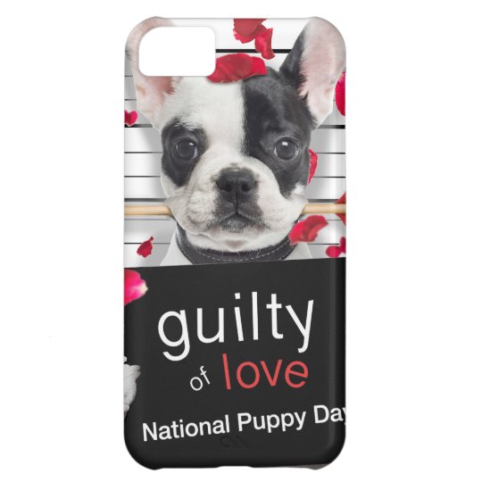 coque iphone 5 bouledogue coque iphone 5 bouledogue