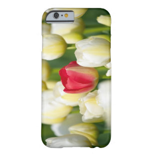 Coque iPhone 6 Barely There Tulipe rouge dans un domaine des tulipes blanches