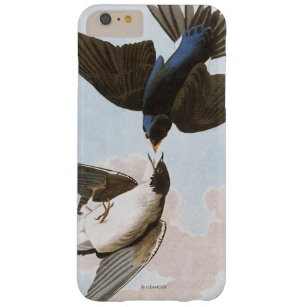 Coque iPhone 6 Plus Barely There Audubon : Hirondelle d'arbre