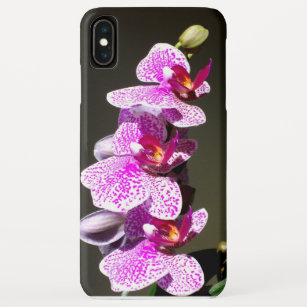 Coque Case-Mate iPhone Orchidées roses