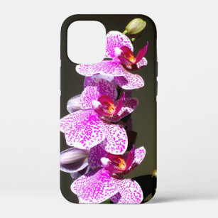 Coque Case-Mate iPhone Orchidées roses