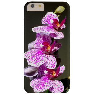 Coque iPhone 6 Plus Barely There Orchidées roses
