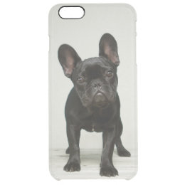 coque iphone 6 plus bouledogue coque iphone 6 plus bouledogue