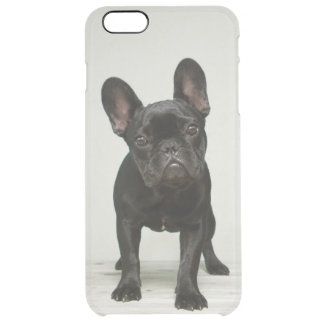 coque iphone 6 bouledogue français coque iphone 6 bouledogue français