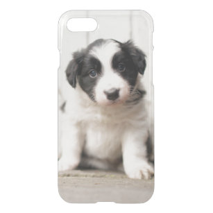 coque iphone 7 border collie coque iphone 7 border collie