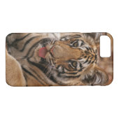 Coque iPhone 7 Jeunes un de tigre de Bengale royal (Dos (Horizontal))