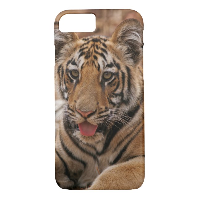 Coque iPhone 7 Jeunes un de tigre de Bengale royal (Dos)