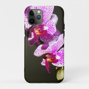 Coque iPhone 11 Pro Orchidées roses