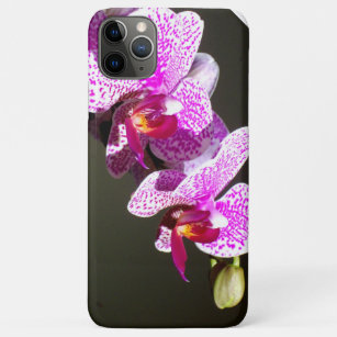 Coque iPhone 11 Pro Max Orchidées roses