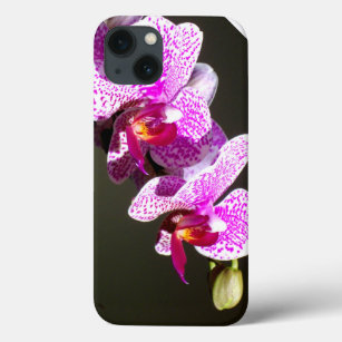 Etui iPhone 13 Orchidées roses
