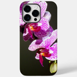 Coque Pour Pour iPhone 14 Pro Max Orchidées roses
