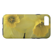 Coque iPhone 7 USA, Utah, Cache Valley Daffodils (Dos (Horizontal))
