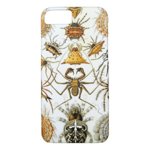 Coque iPhone 8/7 Copie vintage d'arachnides d'araignées de Haeckel