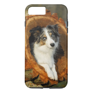 coque iphone 7 border collie coque iphone 7 border collie