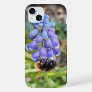 Coque iPhone 15 Plus Abeille sur Muscari Armeniacum , Muscari d'Arménie