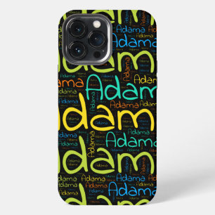Etui iPhone 13 Pro Max Adama