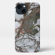 Affaire de téléphone