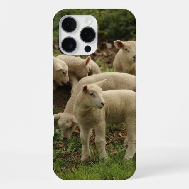 Coque iPhone Agneau  (Verso)