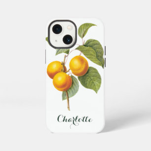 Etui iPhone 13 Mini Aliments anciens Fruit, Abricot Pêche par Redoute